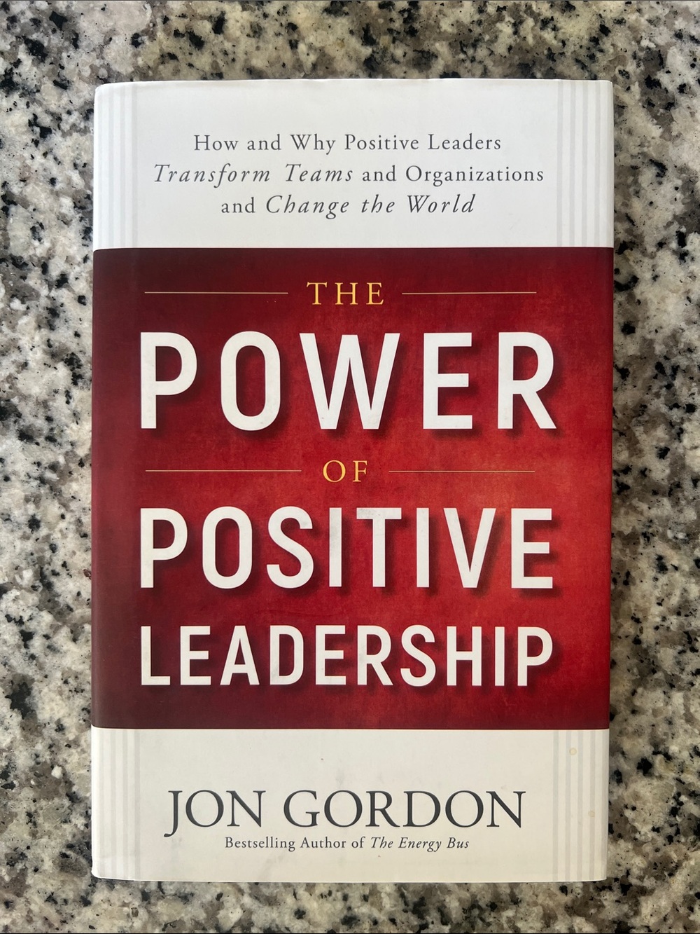 The Power of Positive Leadership Hardcover by Jon Gordon